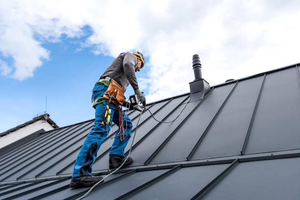 Best Roof Moss and Algae Removal  in Farmingdale, NY